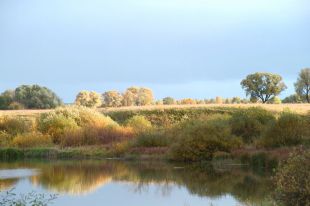 Луговые окрестности реки Мокши, Мордовия